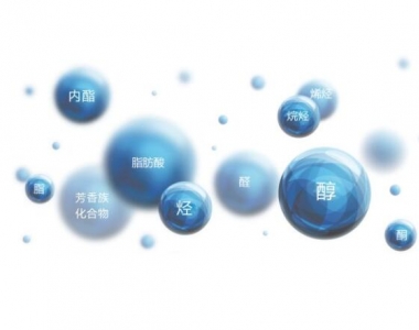 餐飲油煙環境監測專題