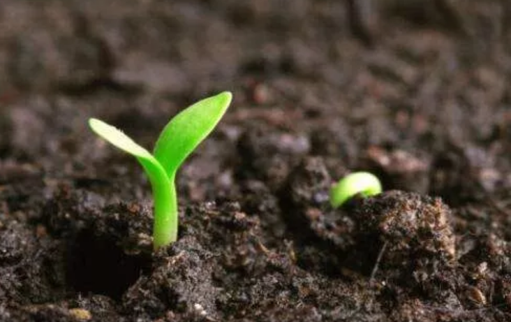 土壤墑情環(huán)境監(jiān)測(cè)/檢測(cè)的過(guò)程是什么樣的