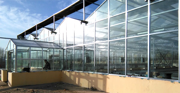 智能溫室大棚監控系統 溫室棚環境監測系統