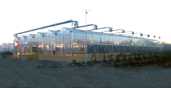 智能溫室大棚監控系統 溫室棚環境監測系統