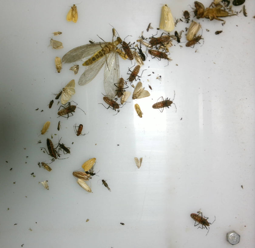 田間環(huán)境監(jiān)測系統(tǒng)設備 農(nóng)田蟲情監(jiān)測系統(tǒng) 無線墑情監(jiān)測站