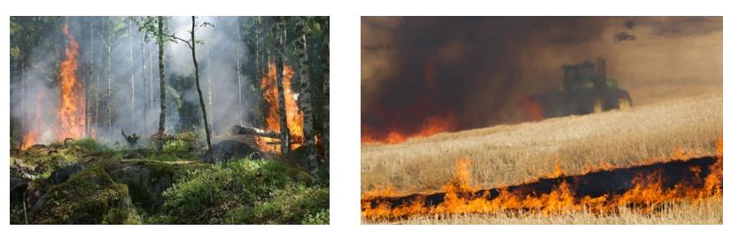 森林防火在線監測系統設備