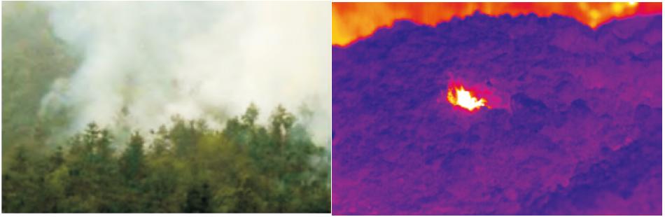 森林火險預警系統產品方案