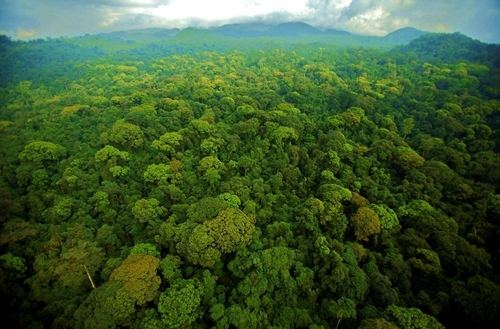 守護“地球之腎”：濕地公園生態保護的系統實踐與價值重構